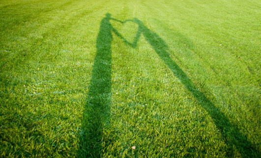 Couple silhouettes on grass creating a big heart