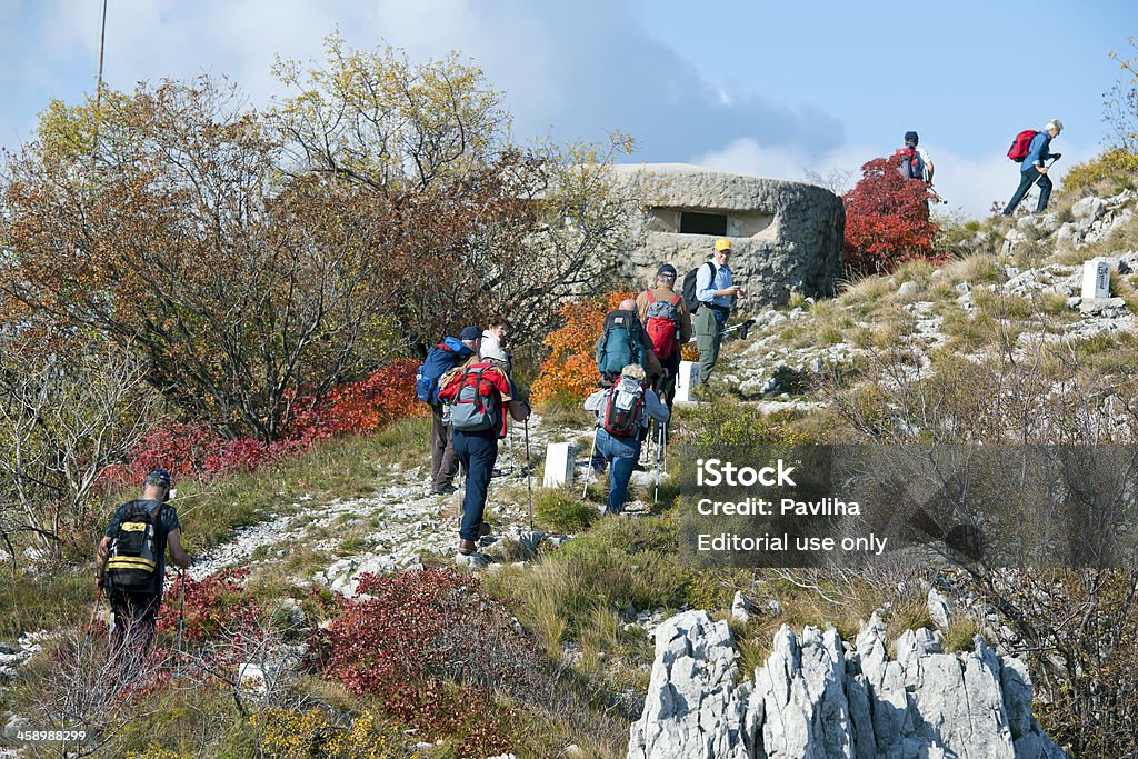 Senior alpinismo dal Bunker - Foto stock royalty-free di Albero