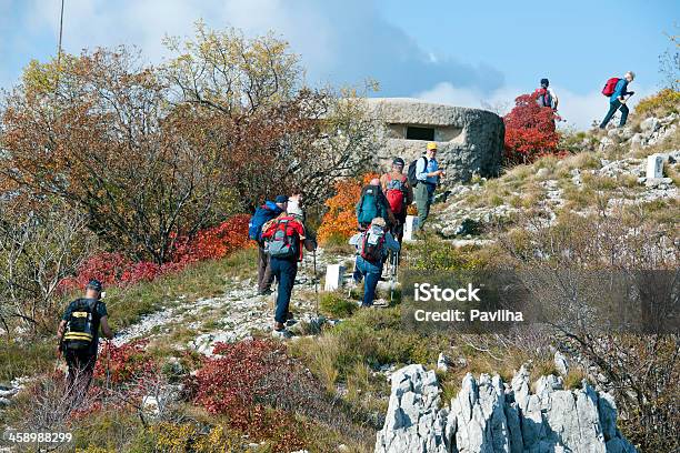 Senior Alpinismo Dal Bunker - Fotografie stock e altre immagini di Albero - Albero, Alpi, Alpi Giulie