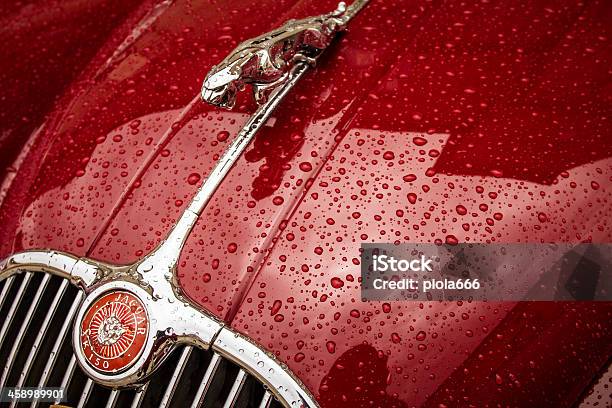 Jaguar Vintage Classic Car Symbol Closeup Stockfoto und mehr Bilder von Nahaufnahme - Nahaufnahme, Jaguar Auto, Nass