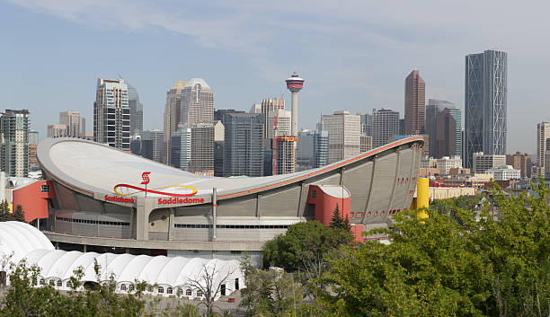 Saddledome, Stampede Park and Downtown Bulidings in Calgary, Alberta, Canada Calgary, Canada - May 29th, 2012: The Scotiabank Saddledome at Stampede Park, home of the Calgary Stampede. View of downtown and the Calgary Tower on a spring morning.  scotiabank saddledome stock pictures, royalty-free photos & images