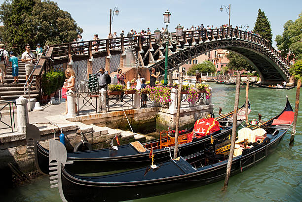 venecian bridge-ponte dell'accademia - eugenio miozzi - fotografias e filmes do acervo