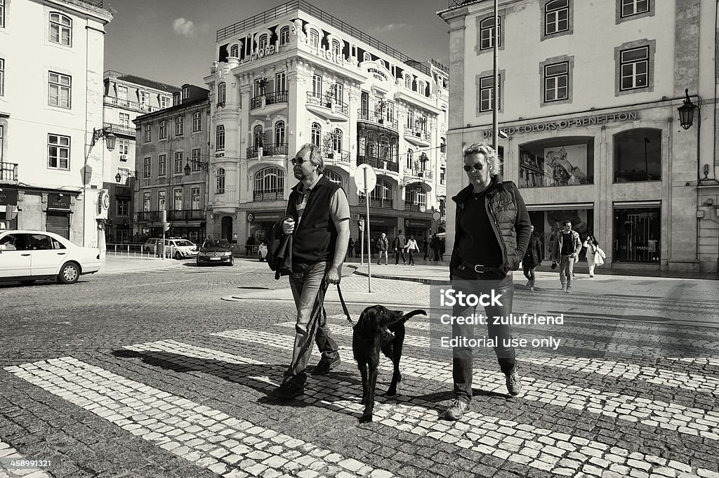 Casal com Cachorro em Lisboa - Royalty-free Cão Foto de stock