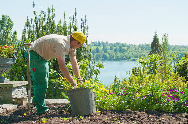 Gardener at Island Mainau - Lake Constance, Germany "Mainau, Germany - May 14, 2012: Gardener at Island Mainau at Lake Constance / Bodensee in Germany. The gardener team of Mainau has about 30 workers. Here they prepair the bottom in may for the next flowers." kultivieren stock pictures, royalty-free photos & images