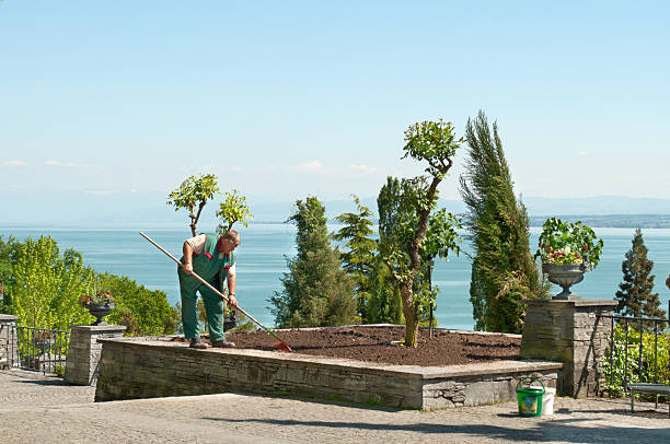 Gardener at Island Mainau - Lake Constance, Germany "Mainau, Germany - May 14, 2012: Gardener at Island Mainau at Lake Constance / Bodensee in Germany. The gardener team of Mainau has about 30 workers. Here they prepair the bottom in may for the next flowers." kultivieren stock pictures, royalty-free photos & images