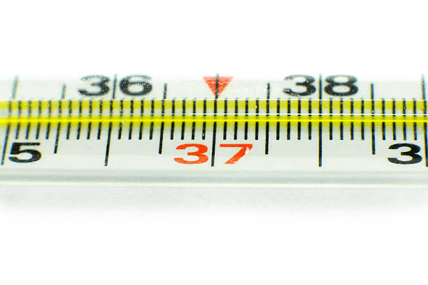 istock Medical thermometer isolated on the white background 458992773