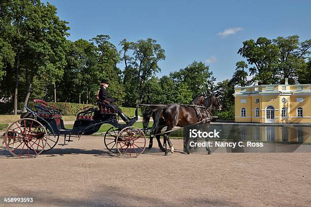 Frau Treibt Pferd Und Kutsche Catherines Palacest Petersburg Stockfoto und mehr Bilder von Architektur