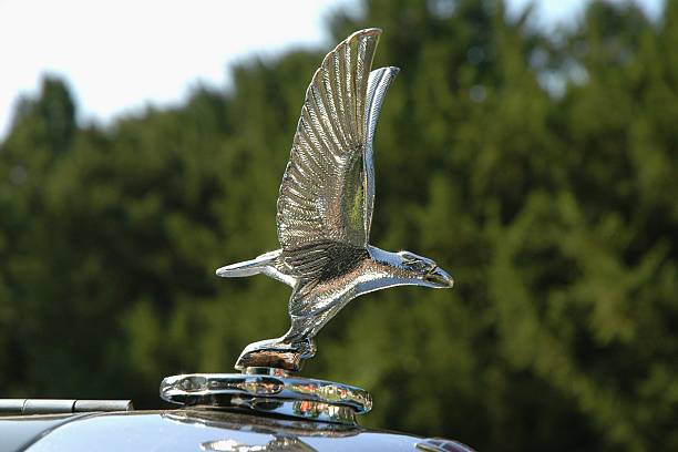 alvis eagle emblema de capô - hood ornament - fotografias e filmes do acervo