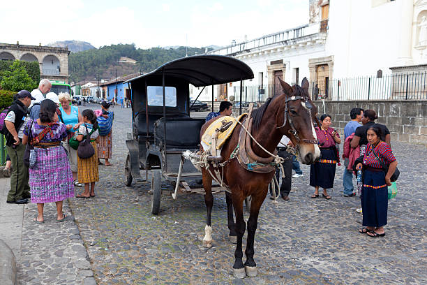 carruagem a cavalos - editorial guatemala antigua tourist imagens e fotografias de stock