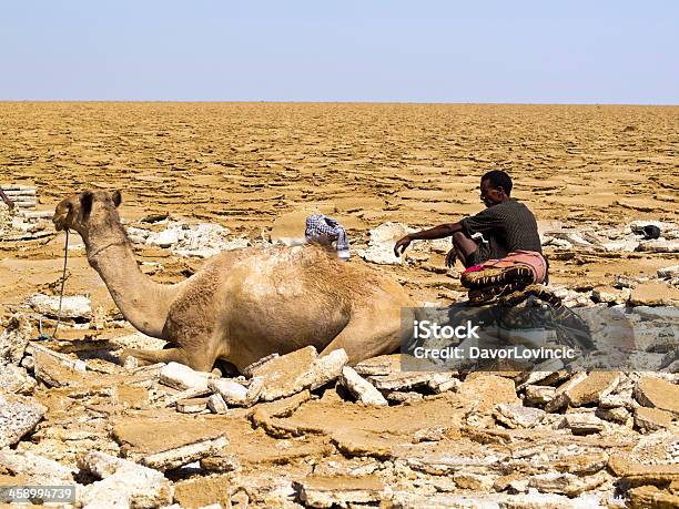 Foto de Homem E Camelos e mais fotos de stock de Etiópia - Etiópia, Adulto, Areia