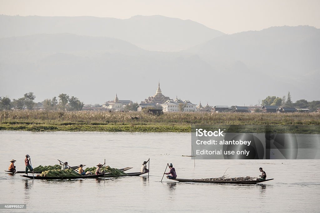 Myanmar: Traditional Boats on Inle Lake "Inle Lake, Myanmar - December 20, 2006: On Inle Lake in ventral Burma, four traditional flat-bottom boats gather on their way to delivering rooted plant stock material to the local market." Agriculture Stock Photo