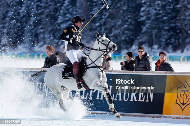 Photo libre de droit de Arrêt Poney Polo banque d'images et plus d'images libres de droit de Ralph Lauren - Marque de designer - Ralph Lauren - Marque de designer, 2013, Animaux domestiques