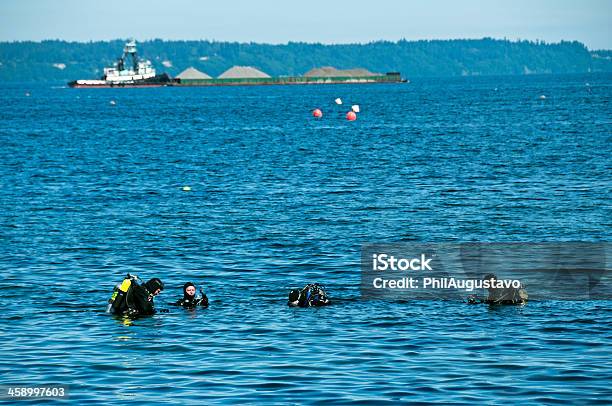 Foto de Mergulhadores Preparandose Para Mergulhar No Santuário Marinho e mais fotos de stock de Adulto