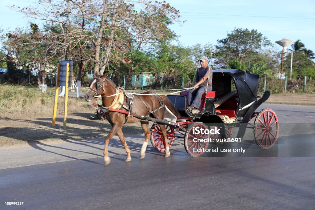 Cuban proporciona um Veículo puxado a cavalo - Foto de stock de Adulto royalty-free