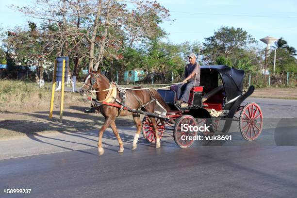 Foto de Cuban Proporciona Um Veículo Puxado A Cavalo e mais fotos de stock de Adulto - Adulto, América Latina, Animal