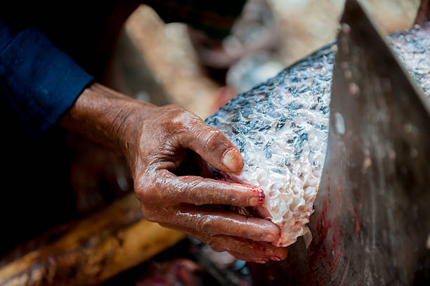 mann schneiden fisch, auf besondere messer - benglalese stock-fotos und bilder