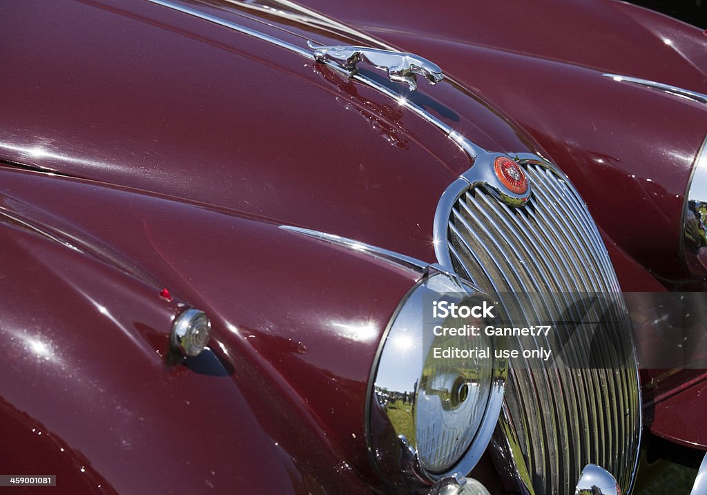 Jaguar Ozdoba na kapturze z Samochód zabytkowy - Zbiór zdjęć royalty-free (Bez ludzi)