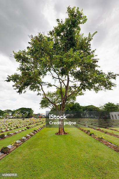 Gravestones No Cemitério De Guerra De Kanchanaburi Tailândia - Fotografias de stock e mais imagens de Ao Ar Livre