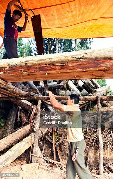 Indiani Segare Trunk Con Due Mani Visto Sikkim - Fotografie stock e altre immagini di India - India, Lavoro di squadra, Adulto