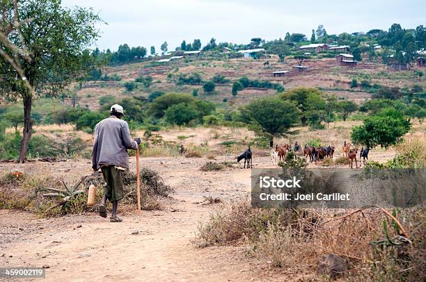 Shepherd Im Ländlichen Äthiopien In Der Nähe Von Konstantin Eduardovich Stockfoto und mehr Bilder von Afrika