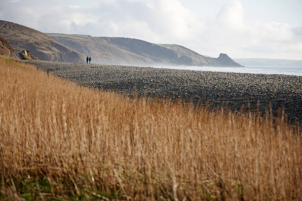 para spaceru na plaży w newgale pembrokeshire - wales beach editorial people zdjęcia i obrazy z banku zdjęć