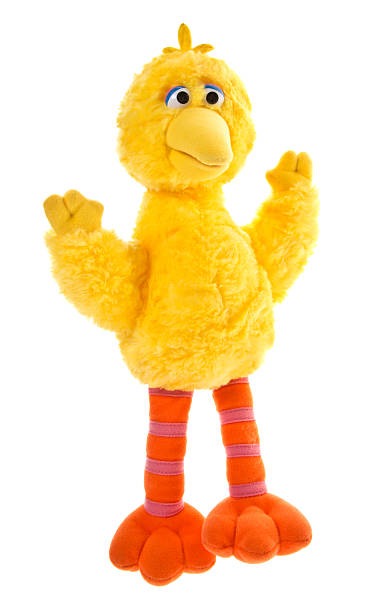 big bird vom sesame street - sesame street fotos stock-fotos und bilder