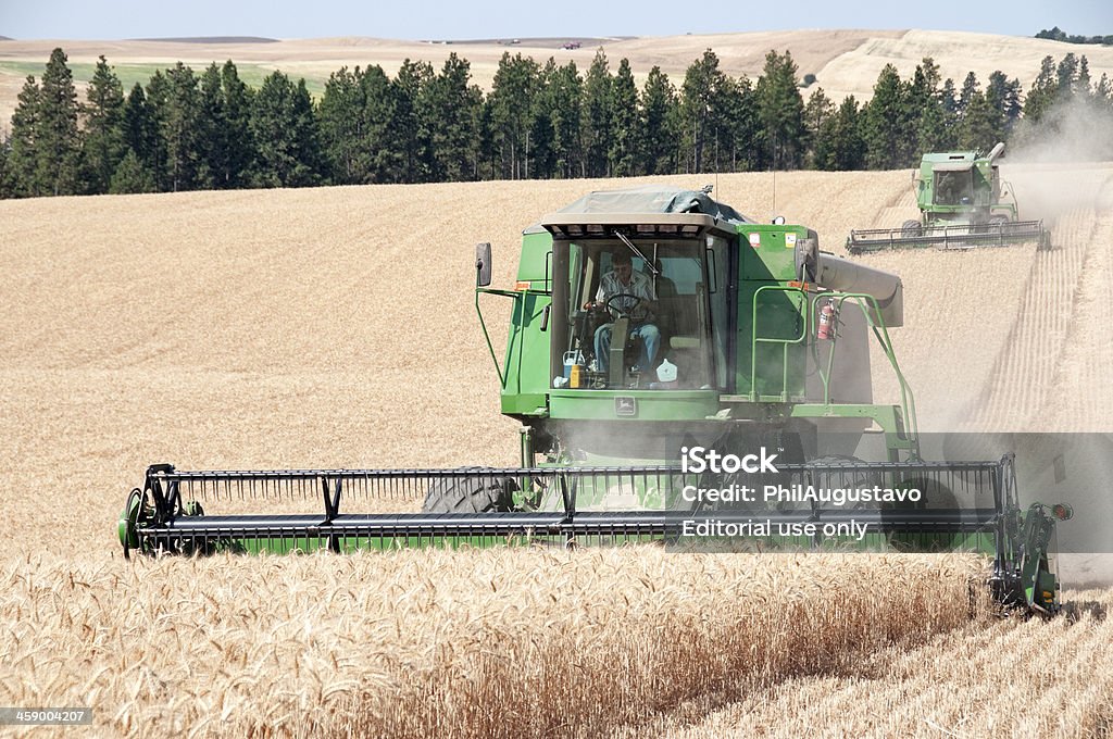 두 컴바인 수확하다 위트 필드에 개인영업 부문 워싱턴 주 - 로열티 프리 농부 스톡 사진