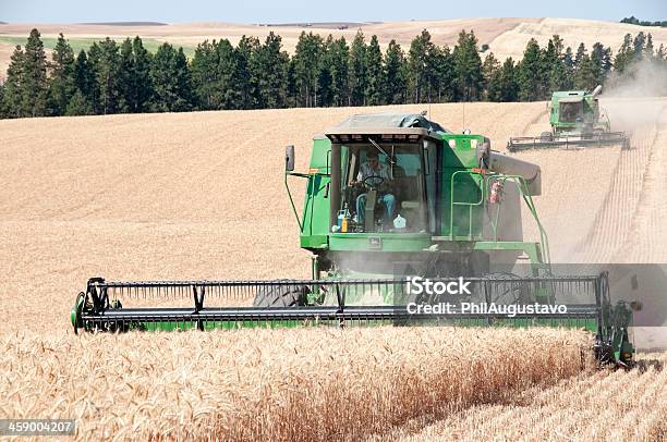 Foto de Dois Combina Campo De Colheita De Trigo No Sudeste Do Estado De Washington e mais fotos de stock de Agricultor