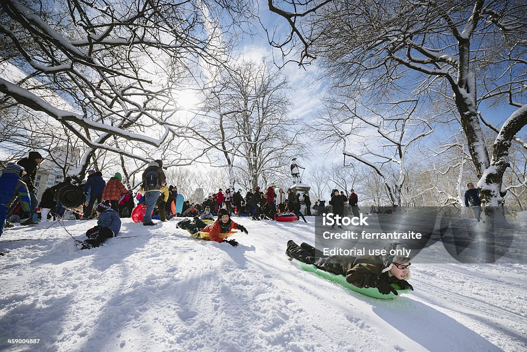 Нарты в Центральном парке Нью-Йорка - Стоковые фото Зима роялти-фри