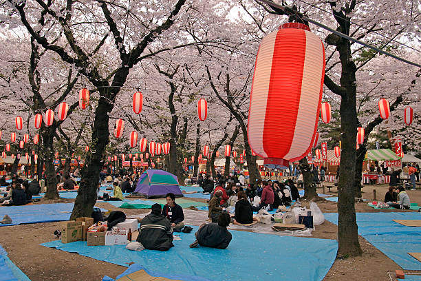 Picnic at cherry blossom festival stock photo