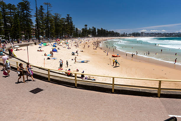 plaża manly - manly beach sydney australia australia beach zdjęcia i obrazy z banku zdjęć