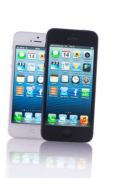 사과나무 iphone5 흰색, 검정색 - iphone iphone5 iphone 5 telephone 뉴스 사진 이미지