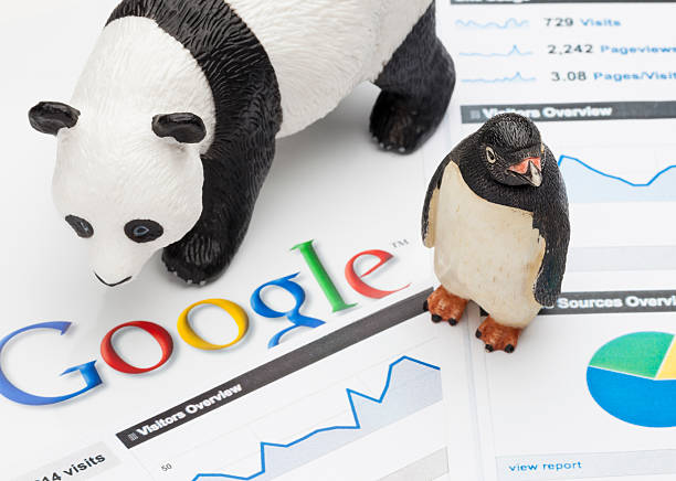 Google Panda and Penguin San Marcos CA USA - June 14, 2012: Google Panda and Penguin. Google Penguin - Google Penguin is the common name for a change in Google's algorithm update that went live on April 24, 2012. Google is the world's most popular internet search engine. pics of a penguin graph stock pictures, royalty-free photos & images