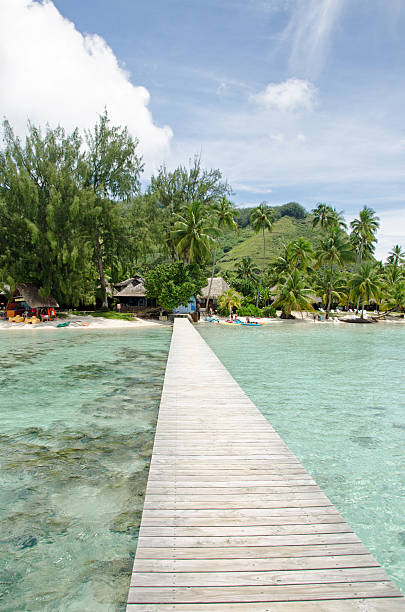 aluguéis de praia e calmo lagoon - french polynesia pier lagoon nautical vessel - fotografias e filmes do acervo