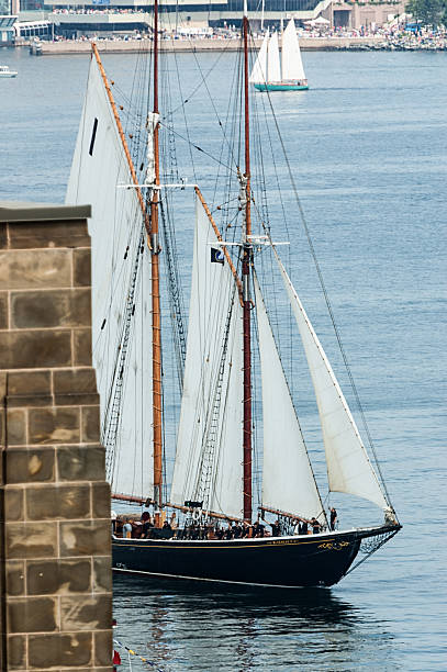 bluenose ii - halifax tall ship sailor sailboat fotografías e imágenes de stock