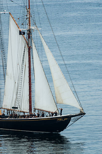 bluenose ii - halifax tall ship sailor sailboat fotografías e imágenes de stock