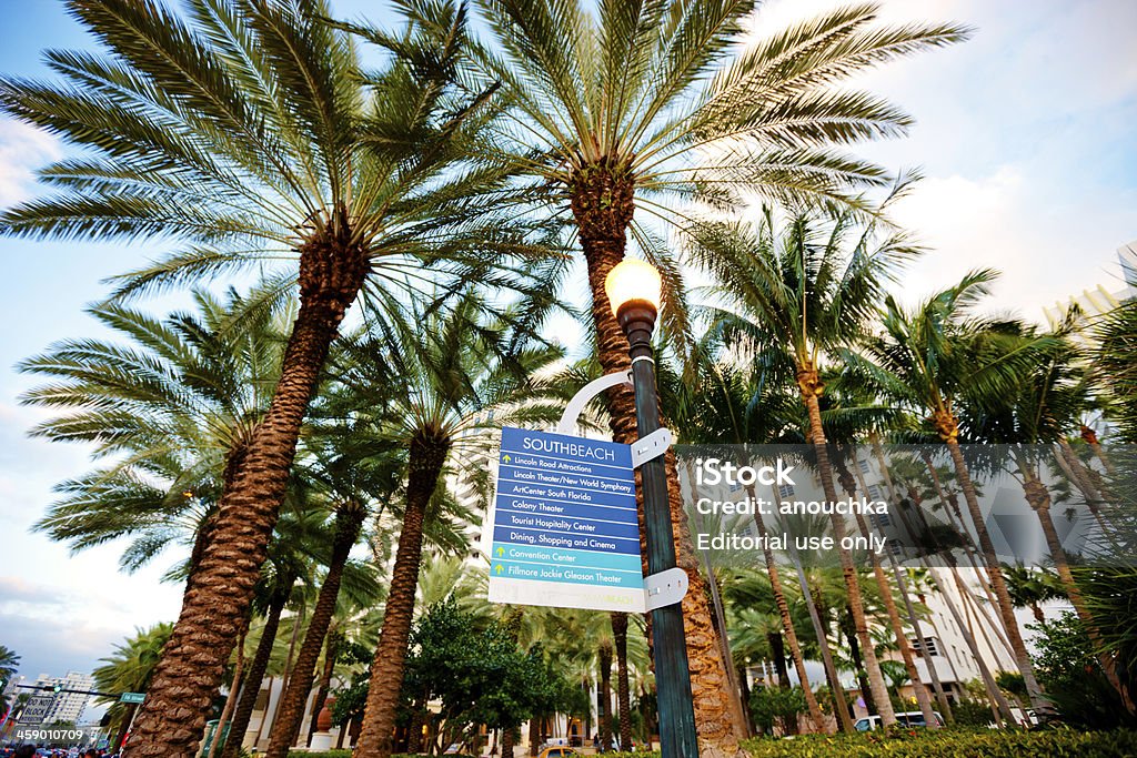 Itinéraire pour se rendre à South Beach - Photo de Arbre libre de droits