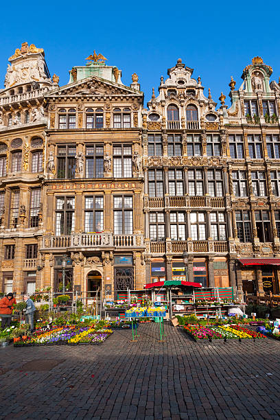 bruxelles, belgique, la grand-place - brussels belgium market flower market photos et images de collection