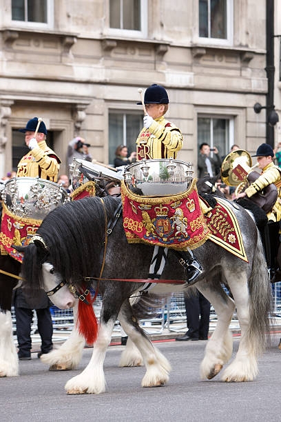 tambour cheval pour le jubilé de diamant de la reine procession d'état - household cavalry photos et images de collection