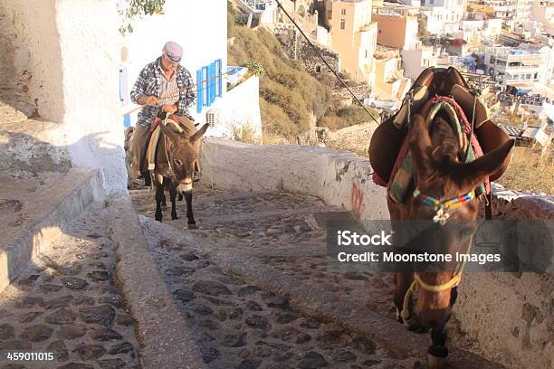 Photo libre de droit de Fira Sur Santorin Grèce Dans Des Cyclades banque d'images et plus d'images libres de droit de Adulte - Adulte, Animal célèbre, Animal vertébré