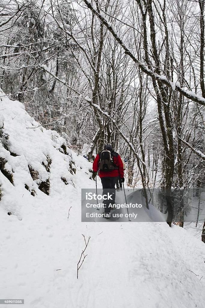 Personnes marchant dans la neige - Photo de Activité libre de droits