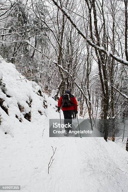 Photo libre de droit de Personnes Marchant Dans La Neige banque d'images et plus d'images libres de droit de Activité - Activité, Activité de loisirs, Activité de plein air