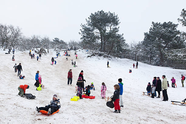 trenó de neve-parque natural de drunense duinen # 1 xxl - drunen - fotografias e filmes do acervo