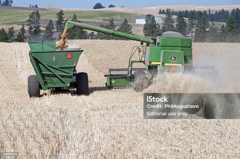 Combinare raccolta grano trasferimento di rimorchio in stato di Washington - Foto stock royalty-free di Agricoltura