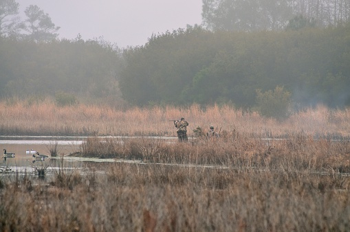 Stockton, Maryland - January 13, 2013: Two unrecognizable Duck hunters in camouflage shooting at ducks and geese in a Maryland wildlife management area on the Eastern Shore. One man is crouched down while the other is shooting at game birds. The morning mist still hangs in the air giving an ethereal view of the activity
