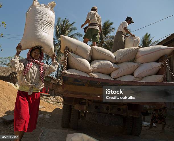Burmese Woman Carrying Sack Of Rice In Myanmar Stock Photo - Download Image Now - Cereal Plant, Pick-up Truck, Rice - Cereal Plant
