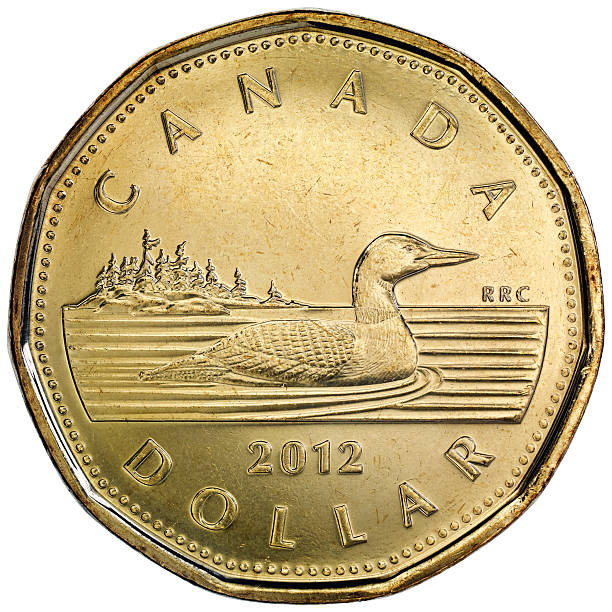 Reverse of the Canadian One Dollar Coin "Naucalpan, Mexico - Jan 25, 2013: Reverse of the Canadian One Dollar Coin, Commonly called Loonie because It bears images of a common loon, a bird which is common and well known in Canada. Designed by Robert-Ralph Carmichael and introduced in 1987." loon bird stock pictures, royalty-free photos & images