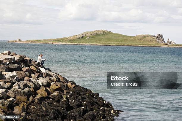 Homem Pesca De Rocks - Fotografias de stock e mais imagens de Adulto - Adulto, Ao Ar Livre, Baía de Dublin