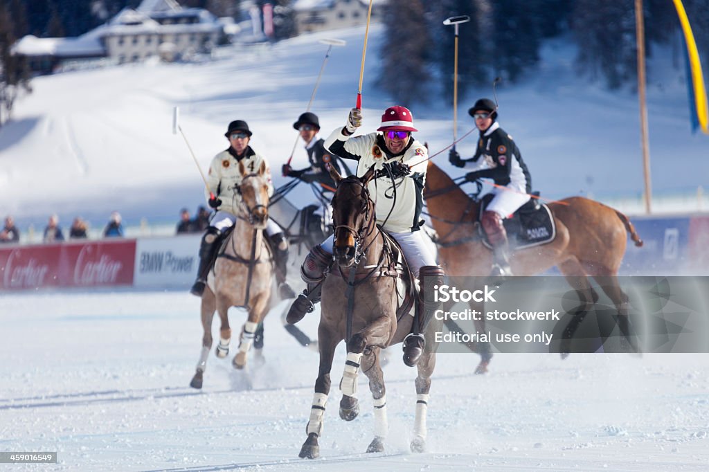 St. Moritz Polo World Cup on Snow. - Photo de Animaux domestiques libre de droits