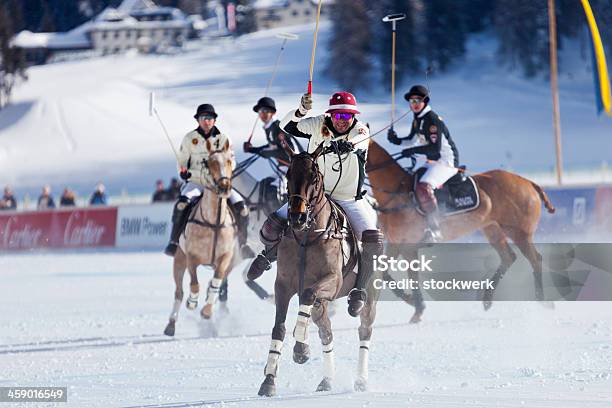 Photo libre de droit de St Moritz Polo World Cup On Snow banque d'images et plus d'images libres de droit de Animaux domestiques - Animaux domestiques, Bride, Canton de Graubünden